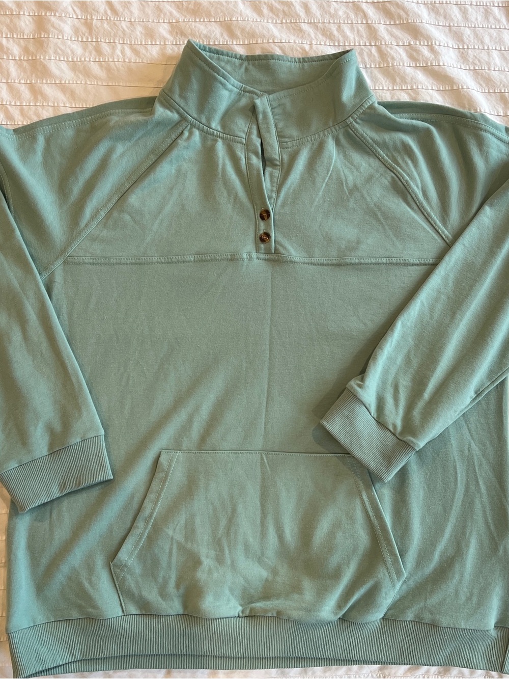 Amazon Women's Mint Green Quarter-Button Pullover Hoodie